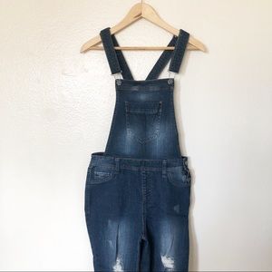 Distressed Overalls